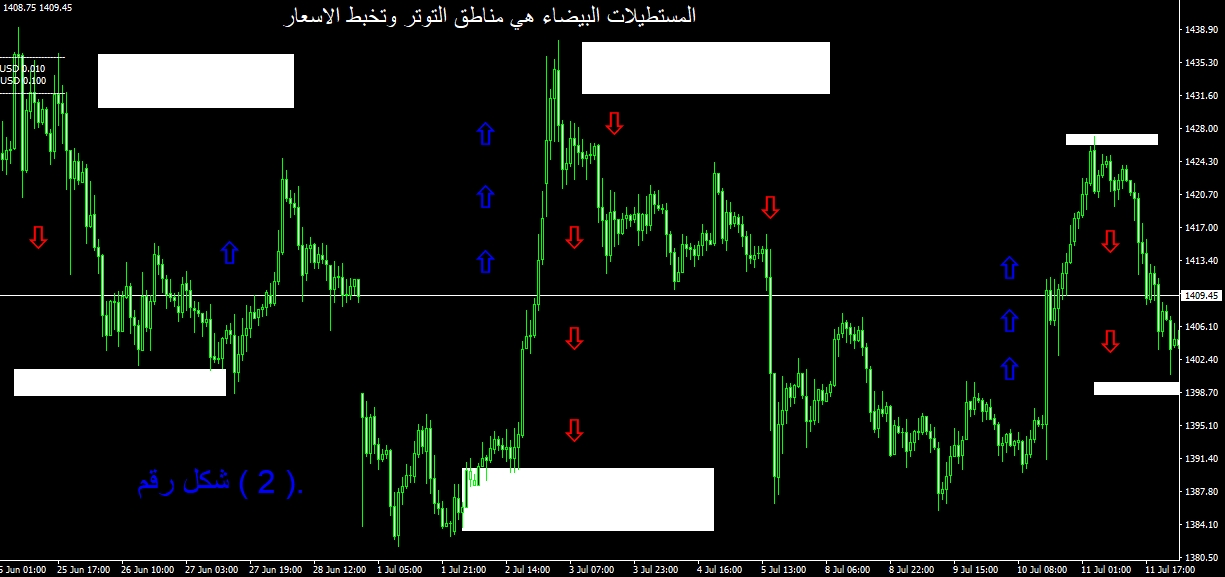 شكل رقم (2).