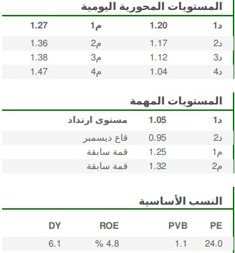 المستويات المحورية اليومية