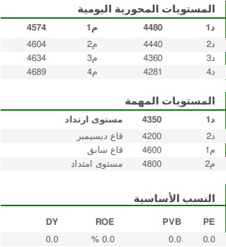 المستويات المحورية اليومية