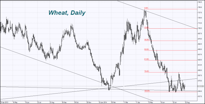 Wheat.Daily