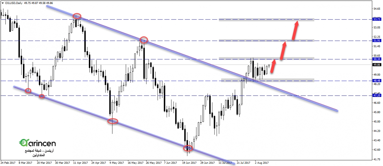 Oil - daily