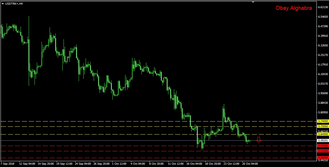 الليرة التركية وعاصفة الهبوط 29\10\2018