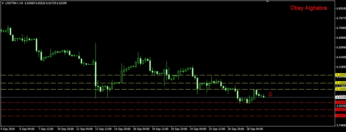 الليرة التركية واستمرار التفوق على الدولار الامريكي 1/10/2018