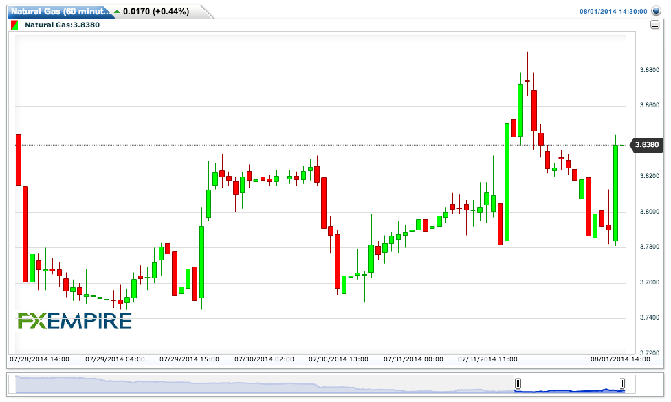 Natural-Gas60-minutes20140801173106